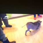 Abonnement IPTV Standard 1 Mois photo review