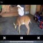Test 24h IPTV Standard photo review